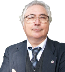 Prof. Manuel Castells